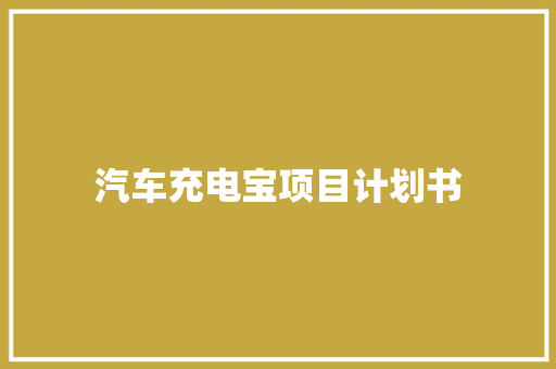 汽车充电宝项目计划书