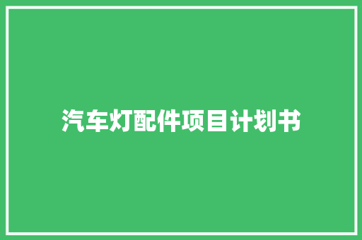 汽车灯配件项目计划书