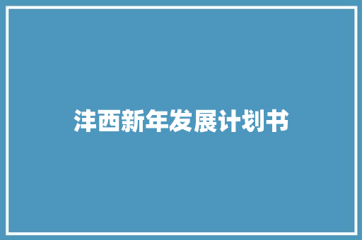 沣西新年发展计划书