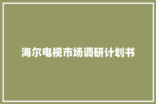 海尔电视市场调研计划书 报告写作