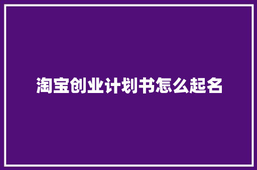 淘宝创业计划书怎么起名 商业文案