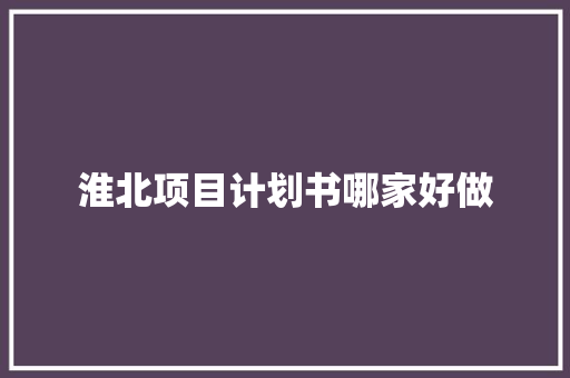 淮北项目计划书哪家好做 词汇积累