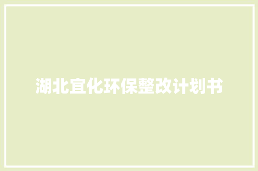 湖北宜化环保整改计划书