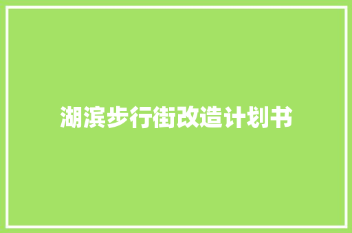 湖滨步行街改造计划书
