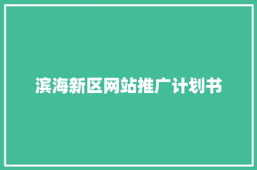 滨海新区网站推广计划书