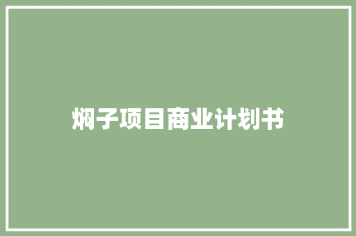 焖子项目商业计划书