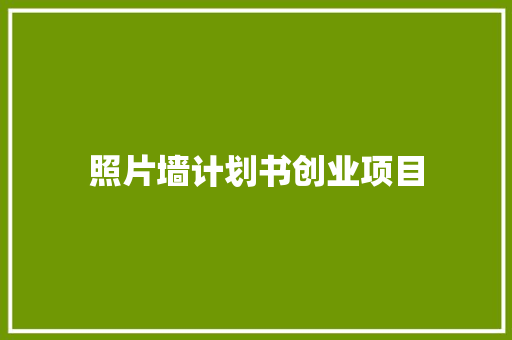 照片墙计划书创业项目