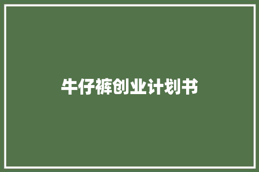 牛仔裤创业计划书