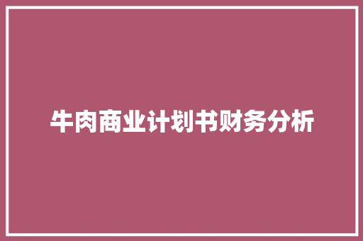 牛肉商业计划书财务分析