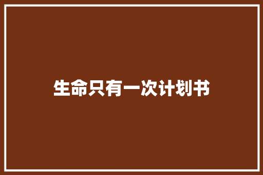 生命只有一次计划书