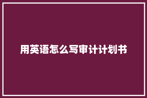 用英语怎么写审计计划书