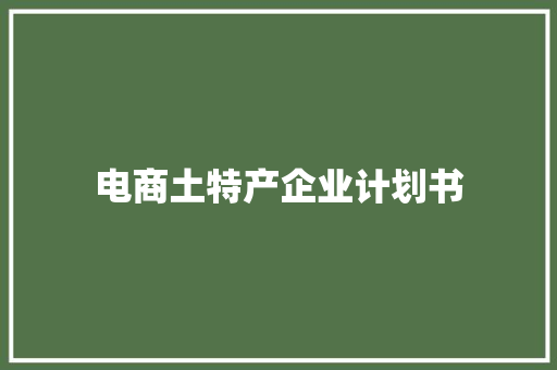 电商土特产企业计划书