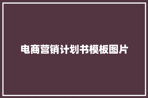 电商营销计划书模板图片 简历模板