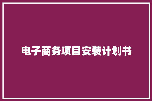电子商务项目安装计划书