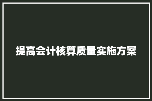 提高会计核算质量实施方案 词汇积累