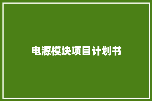 电源模块项目计划书