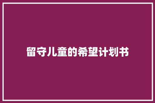 留守儿童的希望计划书