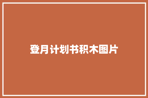 登月计划书积木图片