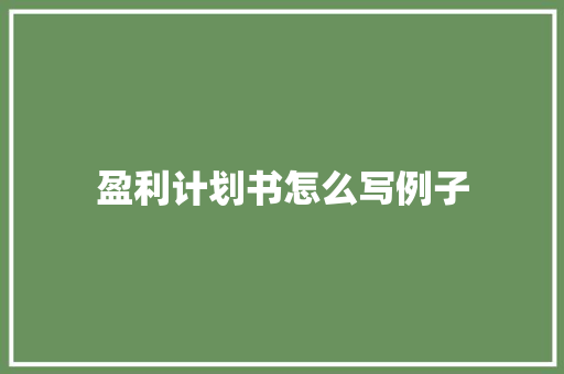 盈利计划书怎么写例子