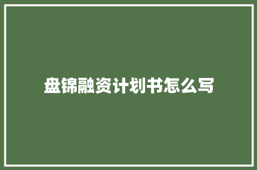 盘锦融资计划书怎么写