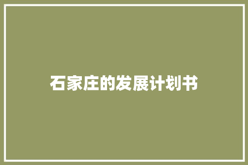 石家庄的发展计划书 诗歌创作
