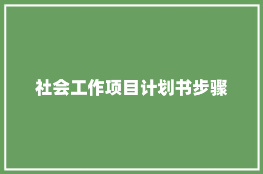 社会工作项目计划书步骤