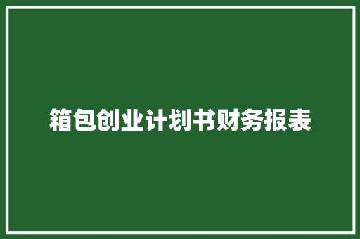 箱包创业计划书财务报表