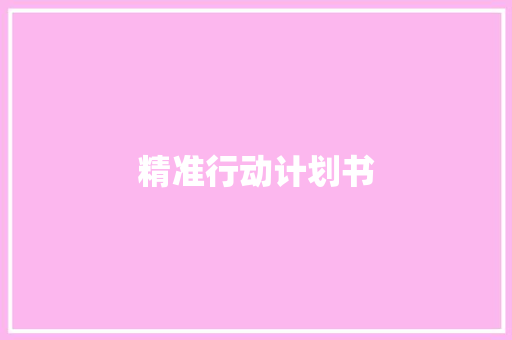 精准行动计划书