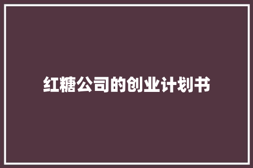 红糖公司的创业计划书