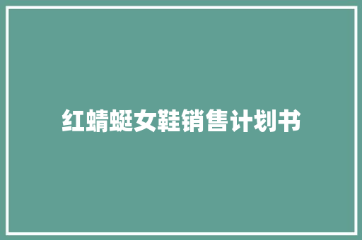红蜻蜓女鞋销售计划书