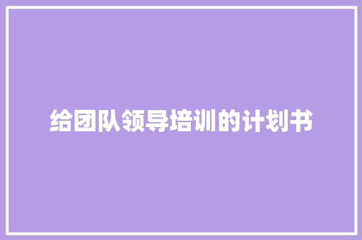给团队领导培训的计划书