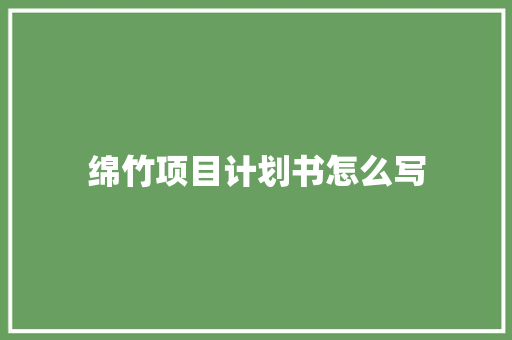 绵竹项目计划书怎么写