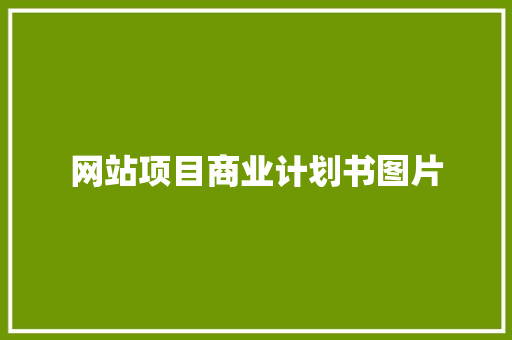 网站项目商业计划书图片 商业文案