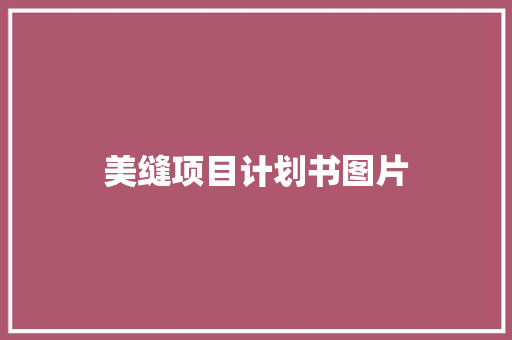 美缝项目计划书图片 写作社区