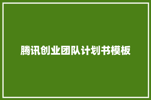 腾讯创业团队计划书模板