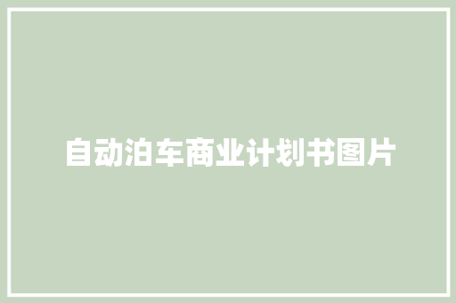 自动泊车商业计划书图片