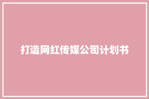 打造网红传媒公司计划书