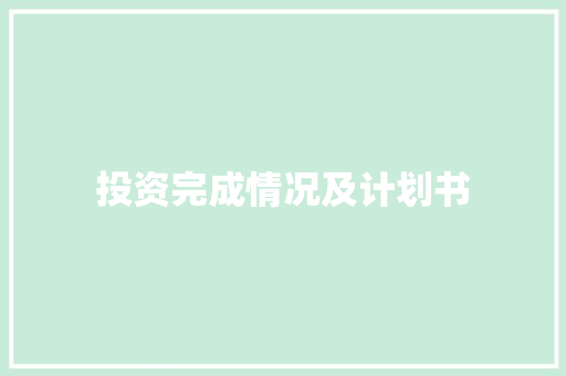 投资完成情况及计划书
