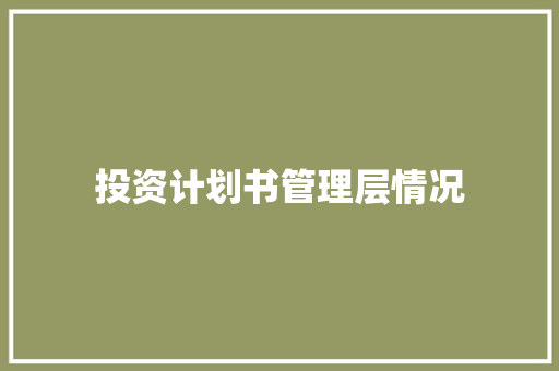 投资计划书管理层情况