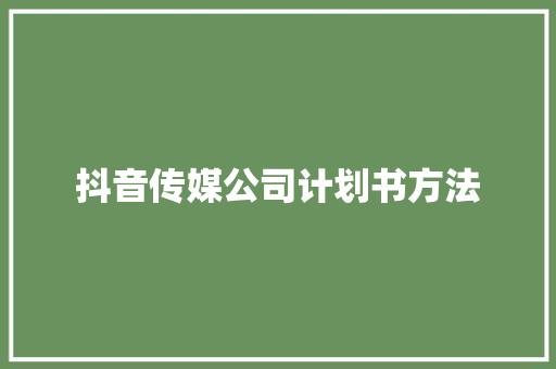 抖音传媒公司计划书方法