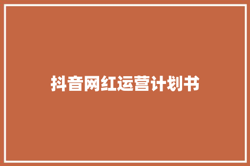 抖音网红运营计划书 报告写作