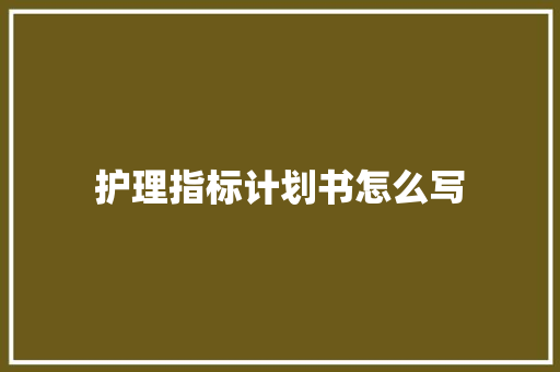 护理指标计划书怎么写
