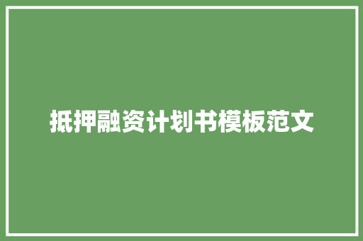 抵押融资计划书模板范文