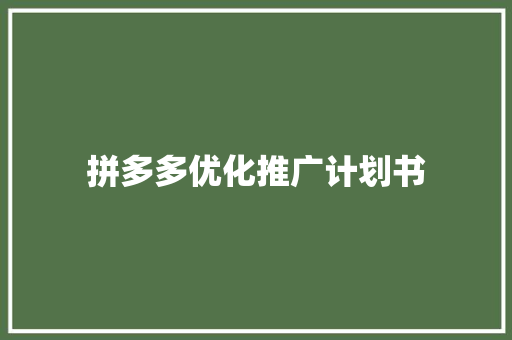 拼多多优化推广计划书