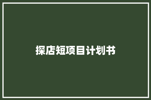 探店短项目计划书