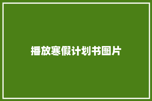 播放寒假计划书图片