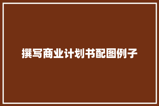 撰写商业计划书配图例子