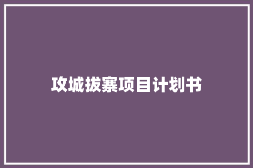 攻城拔寨项目计划书