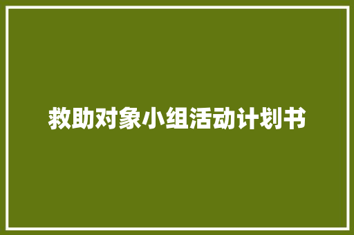 救助对象小组活动计划书