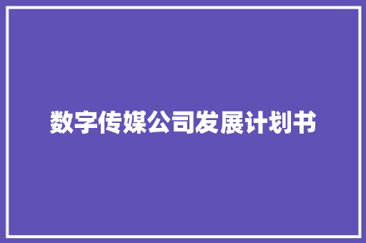 数字传媒公司发展计划书